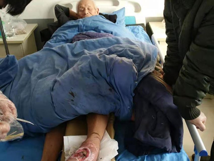 点击查看详细信息<br>标题：治愈 阅读次数：461